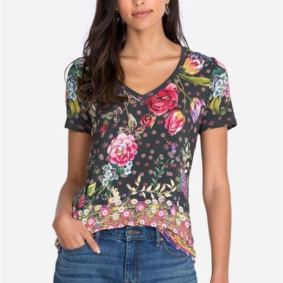 NWT Johnny Was Naomi Favorite Boarder V Neck Tee Multi Color - Picture 3 of 7